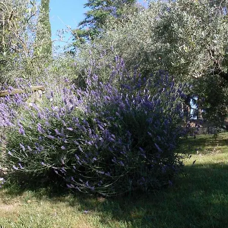 Localita Farneta Appartamento Cortona